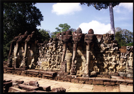 071 Terrasse des éléphants, plus de 350 m de long