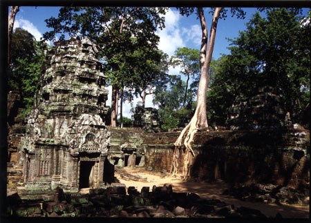 081 Le temple romantique dévoré par la jungle, inoubliable..