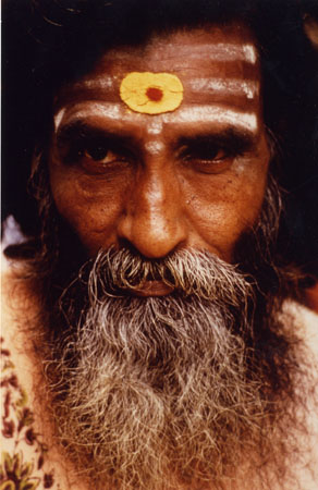 059 adepte de SHIVA