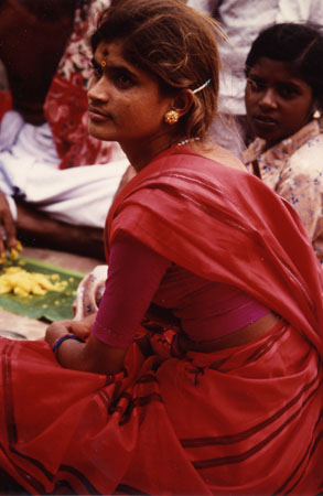 008 très beau sari