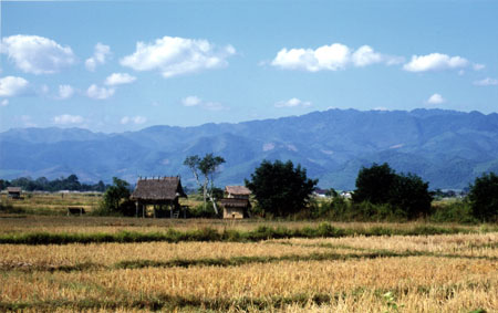 0059 Vallée de Muang Sing