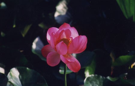 118 XI'an13