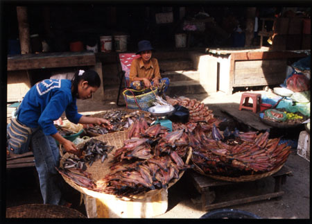 042 Poissons séchés