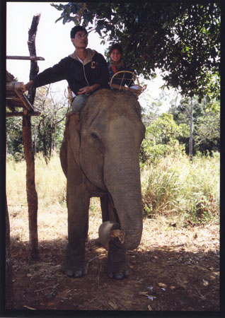 112 Retour de la belle et du pachyderme..