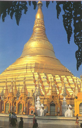 Image3