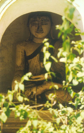 Image45
