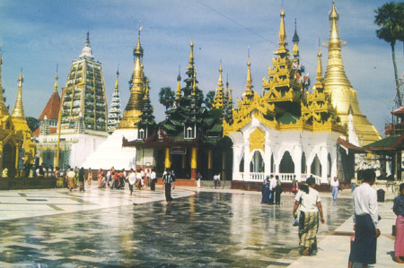 Image7